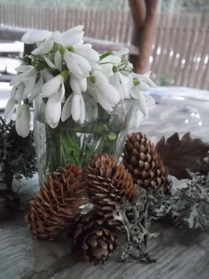 Toeroek Kulcsoshaz Villa Băile Homorod Buitenkant foto